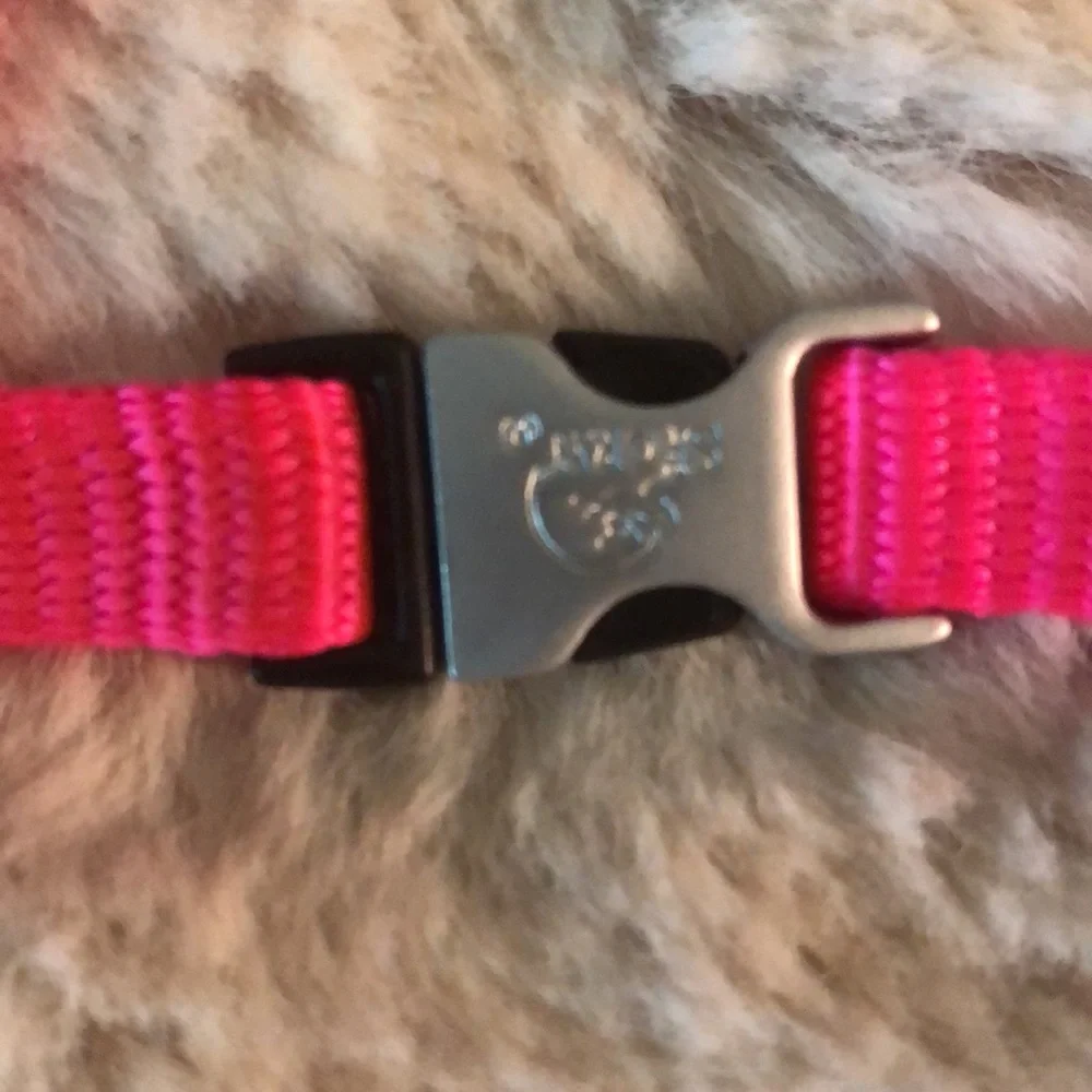 sporn cat harness